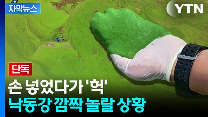 [자막뉴스] "페인트 아닙니다"...'역대 최악' 작년 녹조 이겼다 / YTN