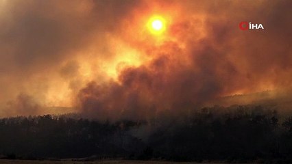 Çanakkale'deki orman yangını kontrol altında: 3 gözaltı var!