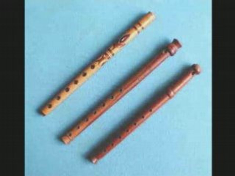 Etude no3 frans bruggen