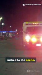 Tragic Tourist Bus Crash: 5 Dead in NY | Urgent News Update