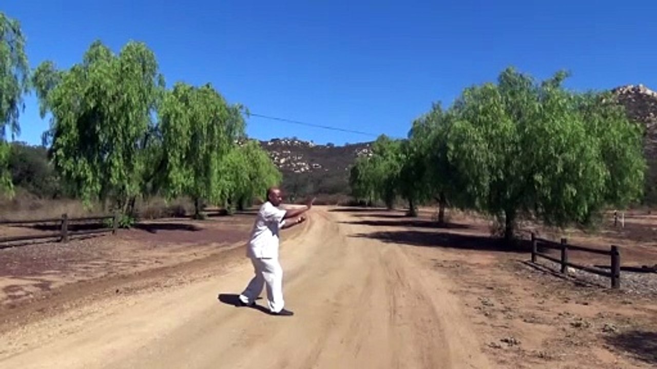 step forward punching downward