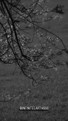 next time someone tries to convince you