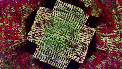 Tranced and Psychedelisized #146 - August 23, 2025