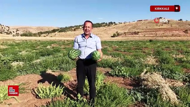Kırıkkale'de sular çekildi, kuraklık göleti çorak araziye dönüştürdü
