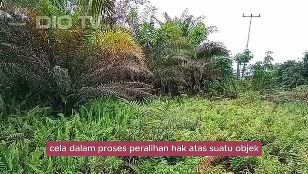 Hamidi Salim, pengurus Relawan Kemanusiaan Pontianak (FRKP), pembeli beritikad baik tanah sertifikat hak milik seluas 7 hektar terbit 1987 di Jalan Wonodadi II, Sekunder C, Desa Arang Limbung, Kecamatan Sungai Raya, Kabupaten Kubu Raya, Provinsi Kalbar