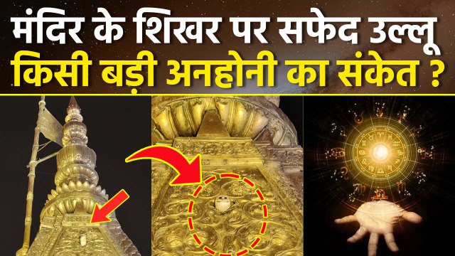 Kashi Vishwanath Mandir Viral Video: मंदिर के शिखर पर उल्लू दिखना शुभ या अशुभ ? बड़ी अनहोनी का संकेत