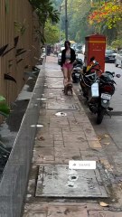 Bollywood Actress Giorgia Andriani  With Her Little Dog 🔥🥰❤️ #giorgiaandriani #bollywood #actresses #actressreels