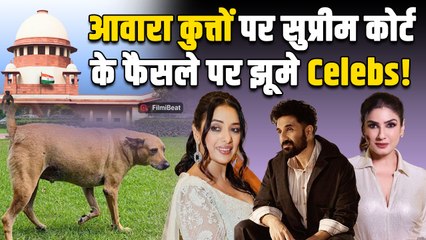 Supreme Court : आवारा कुत्तों पर SC के फैसले पर झूमे Celebs, Bollywood से लेकर TV Star ने जताई खुशी!