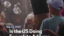 Is the US Doing Enough to Address Gaza Crisis?