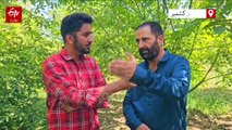 کشمیر میں دنیا کے سب سے بڑے اخروٹ کی پیداوار، ڈاکٹر امتیاز احمد لون