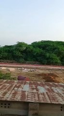 #dailymotionviralvideos