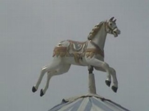 HIPPOCAMPUS