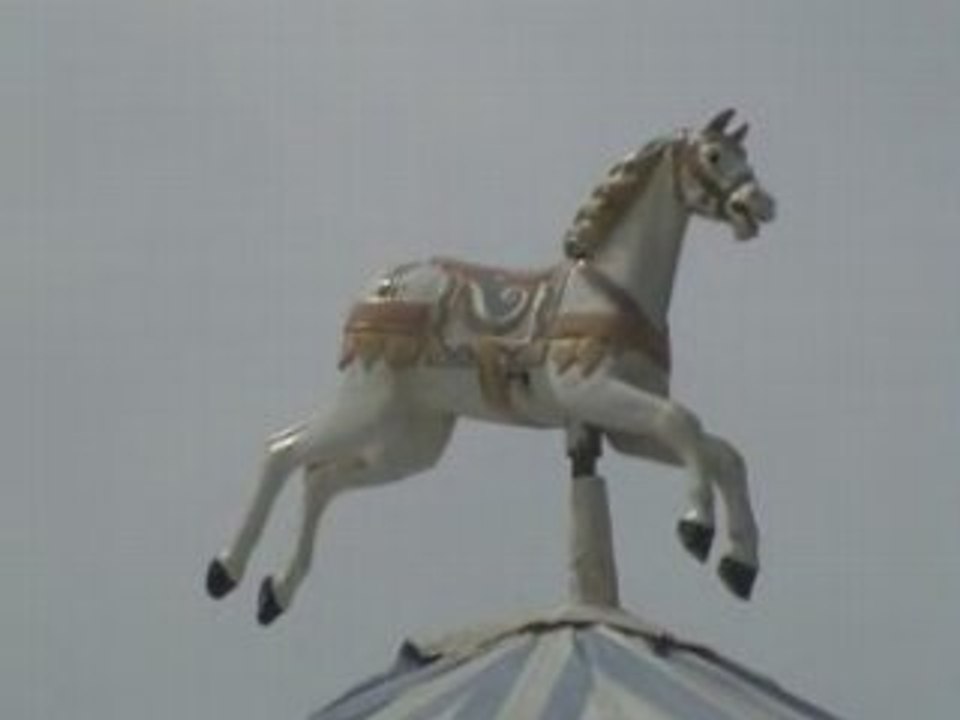 HIPPOCAMPUS