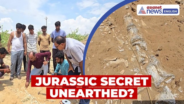 Did Dinosaurs Roam Rajasthan? Fossil-Like Remains Unearthed in Jaisalmer