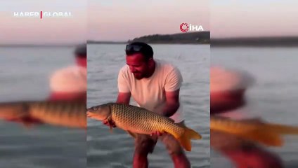 13 kilo sazan yakaladı, öpüp suya geri saldı