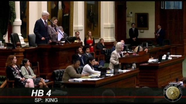 Usa, Senato Texas approva legge che ridisegna i collegi elettorali