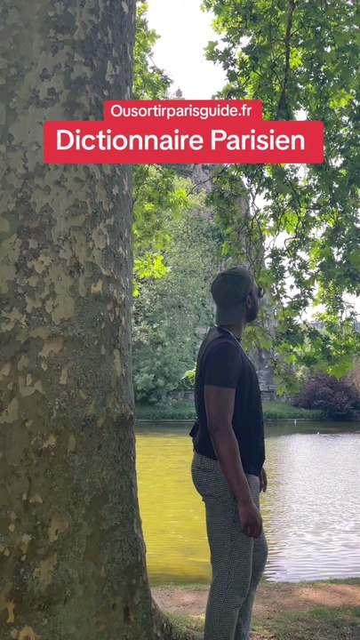 Le dictionnaire Parisien