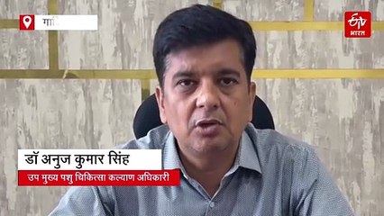 गाजियाबाद में खुले में नहीं घूम पाएंगे आक्रामक कुत्ते, बनाए जाएंगे शेल्टर होम