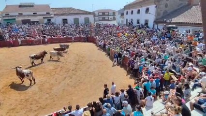 Fiestas de Lumbrales (Salamanca)