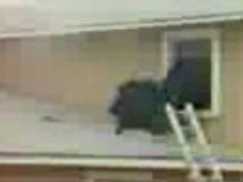 VIOLENCE POLICE DROGUE BAGARRE MEURTRE