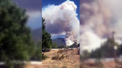 Denizli'nin Pamukkale ilçesinde orman yangını çıktı