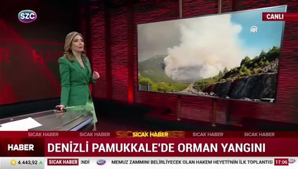 Pamukkale'de orman yangını!