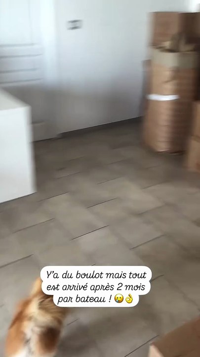 Story Instagram de Virgilia Hess datant du vend...