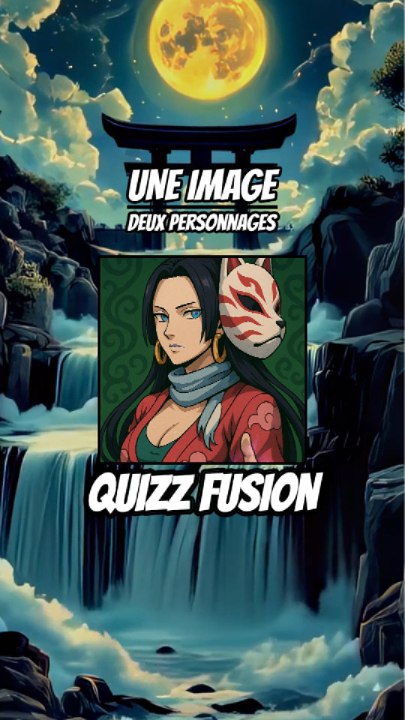 Quizz fusion - Une images, deux personnages !