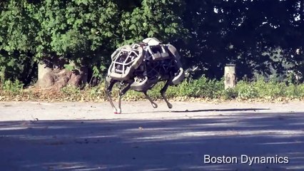 Ça fait du bruit ce genre de robot .