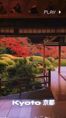 Autumn in Kyoto 京都#秋 #日本 #京都 #Kyoto