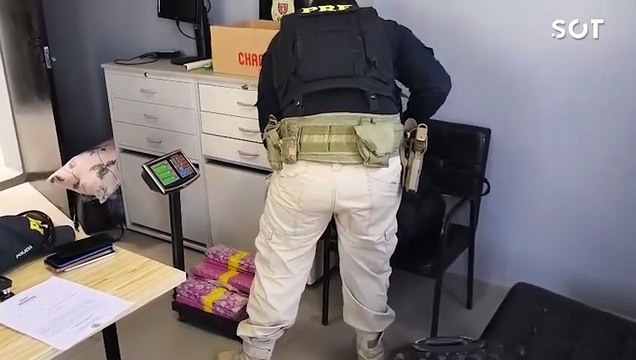 PRF intercepta carregamento de maconha escondido em malas na BR-277