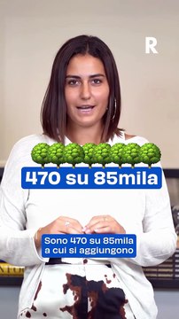 Taglio degli Alberi in Città: Sicurezza o Perdita del Patrimonio Verde? Il Dibattito si Accende