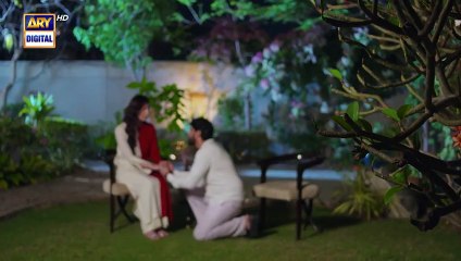 Rasm e Wafa Episode 23  23 Aug 2025