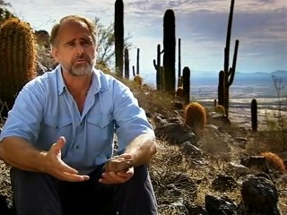 Saturn Lord of the Rings