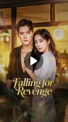 falling for revenge chinese drama