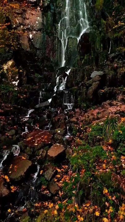 surah al ikhlas