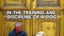 The Dog’s Discipline_ A Surprising Path Back to Allah ﷻ