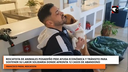 Rescatista de animales posadeño pide ayuda económica y tránsito para sostener su labor solidaria