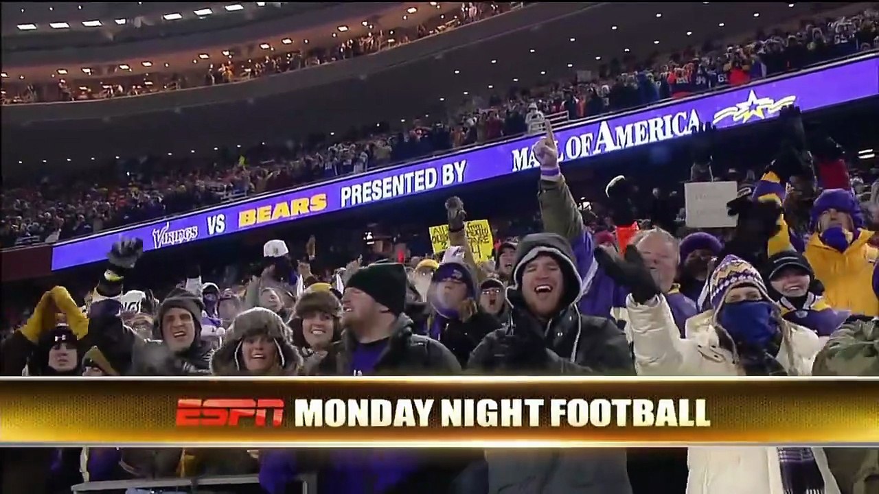 Bears vs Vikings 2010 Week 15