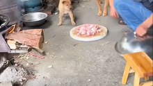 Que linda mamá 🐕 compartida
