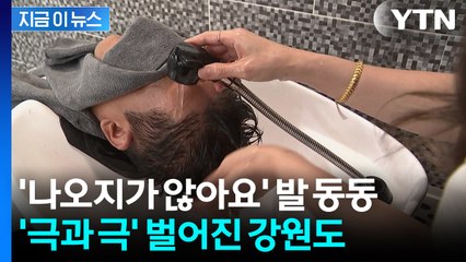 [자막뉴스] 기우제 지내는 수준...타들어가는 강릉 상황 / YTN