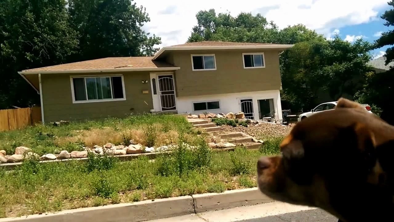 Day 1