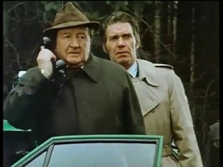 Der Alte - Hauptkommissar Köster - Folge 52 - Der Zigeuner