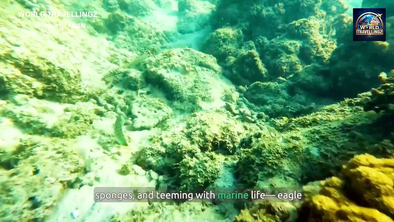 Discover the Cayman Islands: Caribbean Luxury, Pristine Beaches & World-Class Diving.