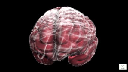 “Everyday Brain Exercises That Really Work (Fun & Simple!)”