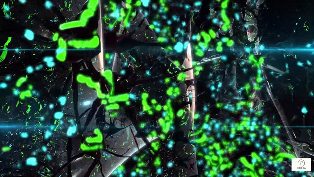 “Alcohol, Smoking & Dementia Risk What Older Adults Need to Know”