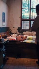 Eng Dub The Wealthy Ceo Forced His Biological Mother To Kneel Down And Jump Off The Building