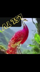 🎬 Title: “Majestic Peacock Takes Flight in Slow Motion”