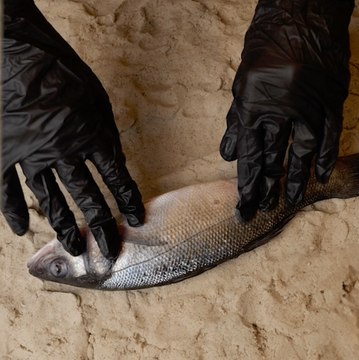 Fabriquez vos propres appâts pour battre tous les records de pêche 🎣🛠️