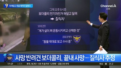 전기자전거에 개 매달고 죽을 때까지 달린 견주